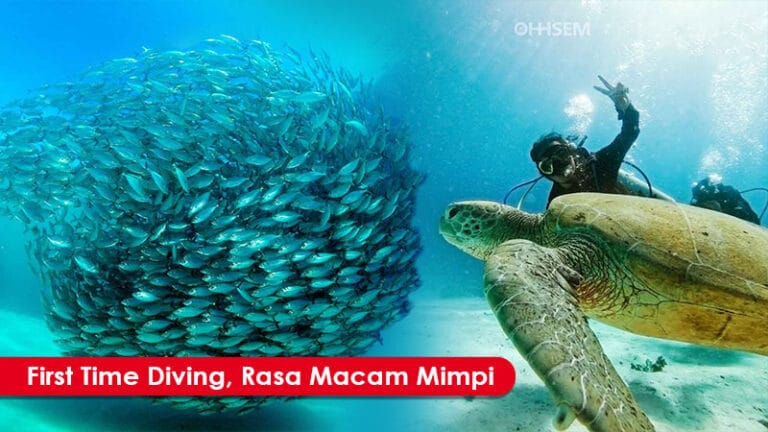 Wow! Diving Di Semporna Tanpa Lesen Pun Boleh?