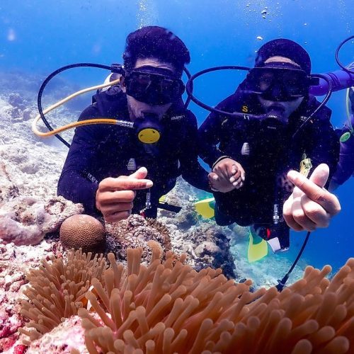 274876056_513635260123422_7688089454013424285_n